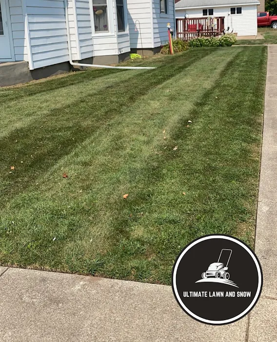 Ultimate Lawn & Snow Picture 3