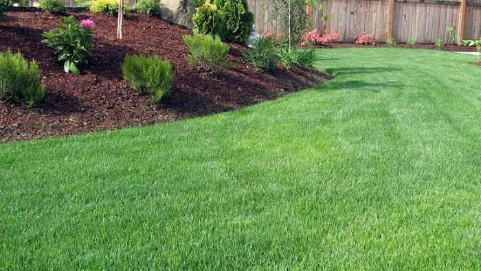 Property Maintenance Services LLC Picture 7