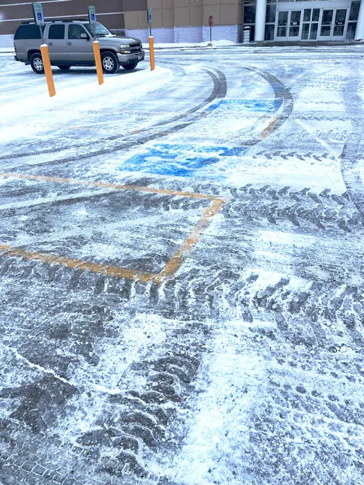 Dykema's Lawn Care and Snow Removal LLC Picture 6