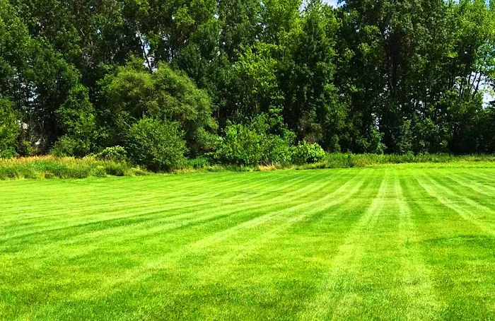 Dykema's Lawn Care and Snow Removal LLC Picture 5