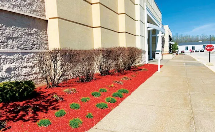 Dykema's Lawn Care and Snow Removal LLC Picture 9