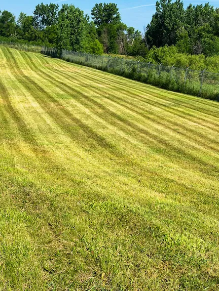 Dykema's Lawn Care and Snow Removal LLC Picture 3