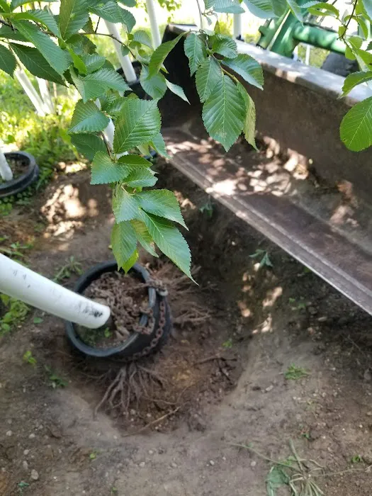 Andresen Landscaping & Garden Center Picture 1