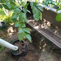 Andresen Landscaping & Garden Center ico