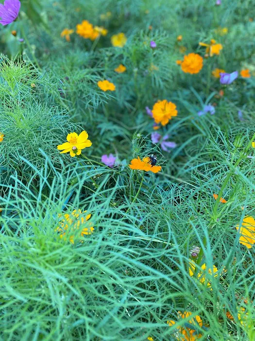 J&L Lawn Care & Landscaping LLC Picture 3