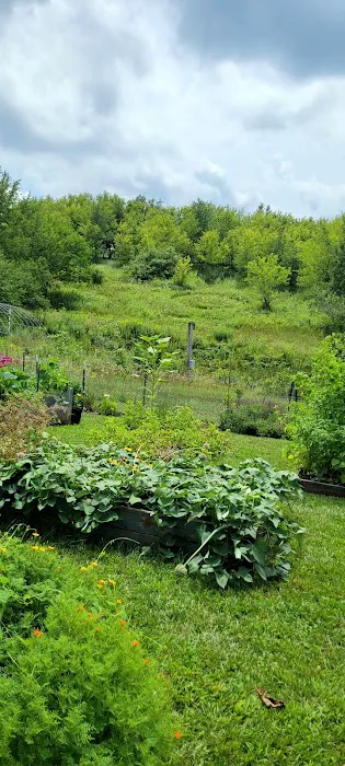 Green Haven Gardens Picture 1