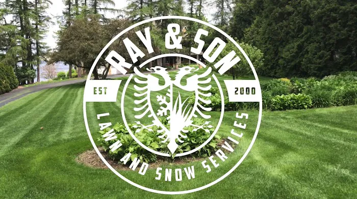 Ray and Son Lawn and Snow Service Picture 8