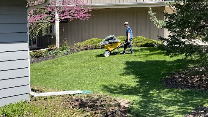 Ray and Son Lawn and Snow Service Picture 3