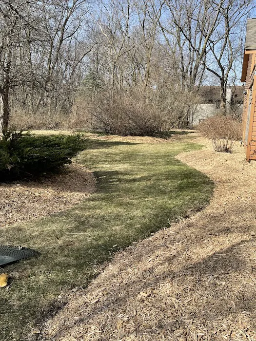 Vince Landscaping Picture 7