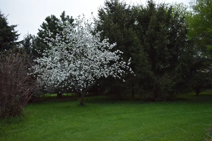 Complete Lawn & Garden Service Picture 2