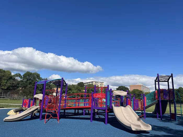 Madison Commercial Landscapes Picture 9