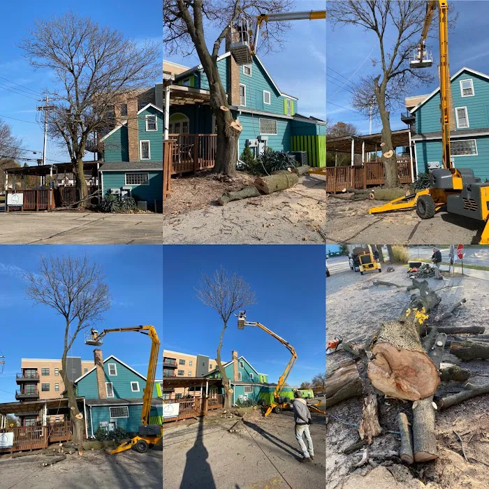 PFD Property Maintenance LLC Picture 4