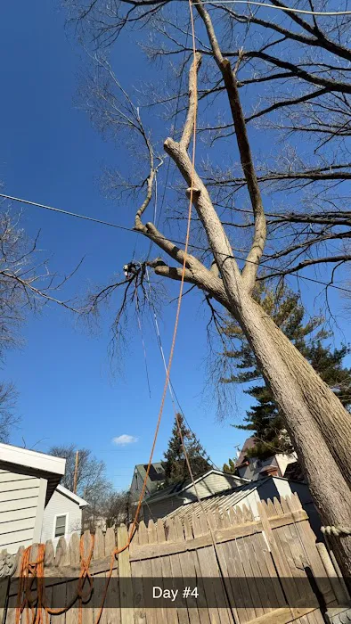 PFD Property Maintenance LLC Picture 3