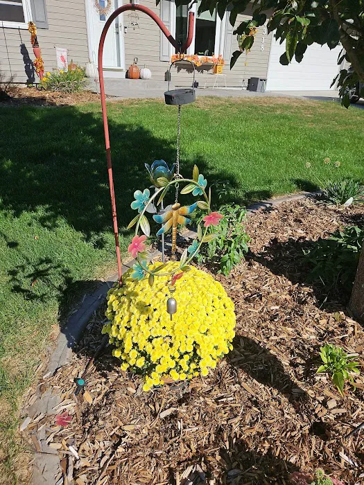 AMS Landscaping & Outdoor Living Spaces Stoughton WI Picture 1