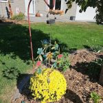 AMS Landscaping & Outdoor Living Spaces Stoughton WI