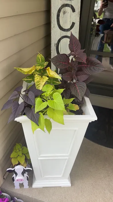 Bevalli Gardens LLC Picture 5