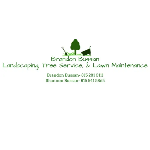 Brandon Bussan Landscaping & Tree Service Picture 1