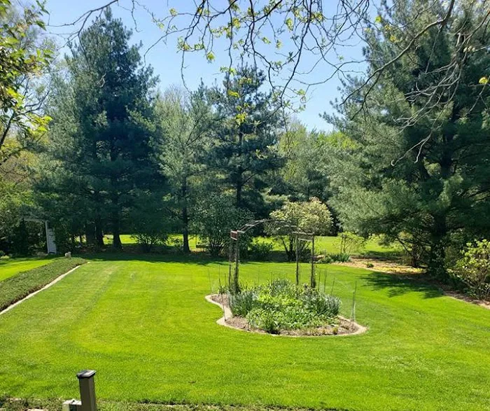 Pure Green Lawn Services Picture 3