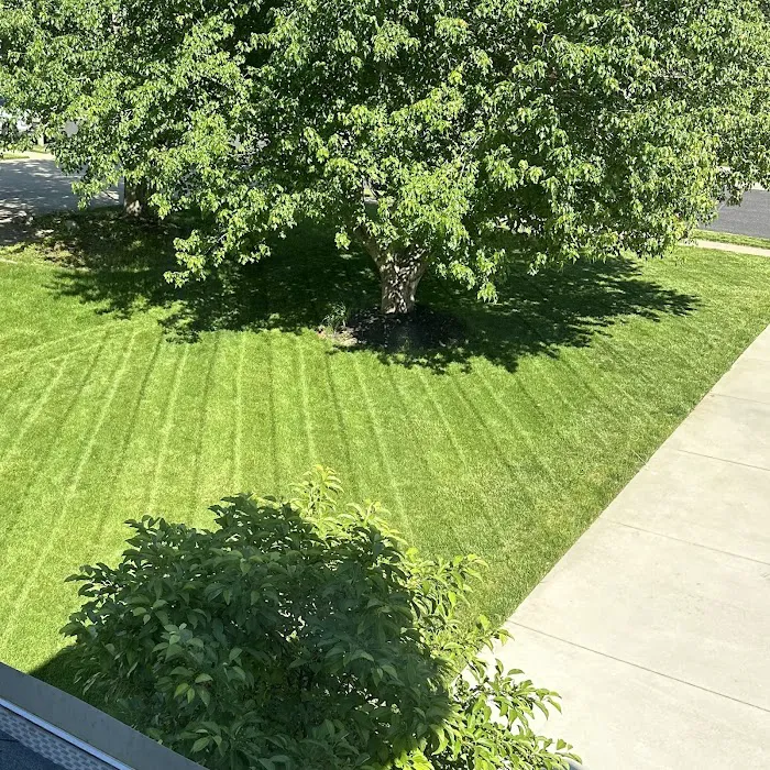 Pure Green Lawn Services Picture 10