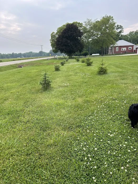 Pure Green Lawn Services Picture 2