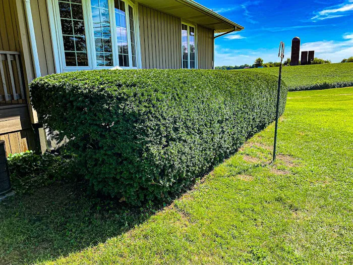 MIDWEST LAWNS LLC Picture 2