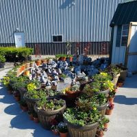 Skinner Landscaping ico