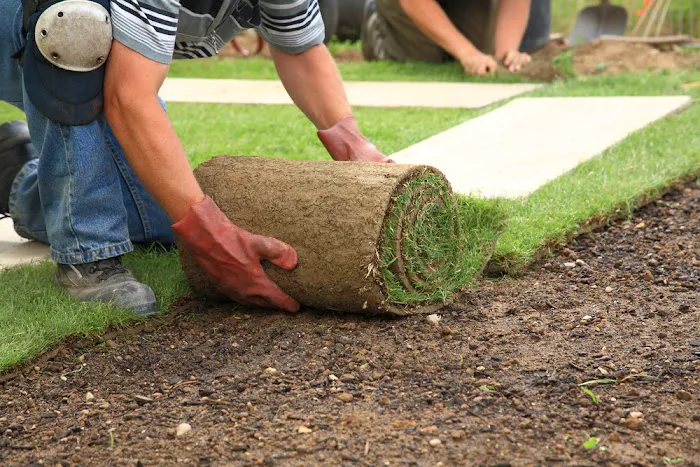 Wright Landscaping & Construction Picture 2