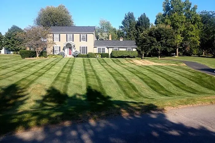S&R Lawncare & Snow Removal & Lawn Treatments & Landscaping Picture 3