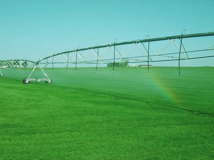 Ideal Turf, Inc. Picture 5