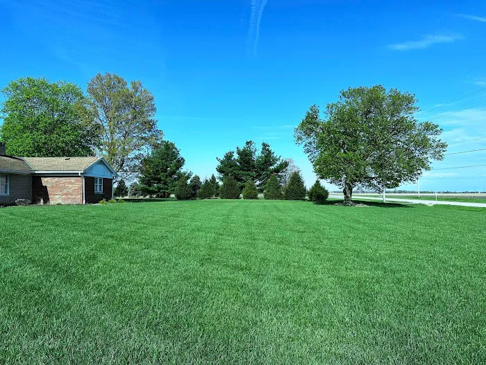 Ideal Turf, Inc. Picture 7