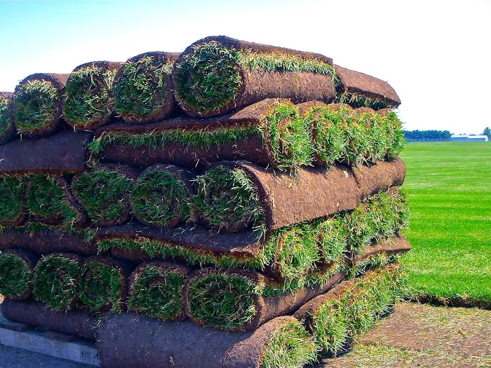 Ideal Turf, Inc. Picture 6