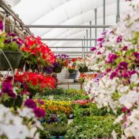 Corn Crib Nursery ico