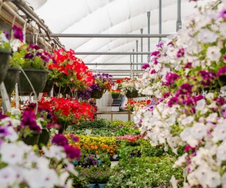 Corn Crib Nursery