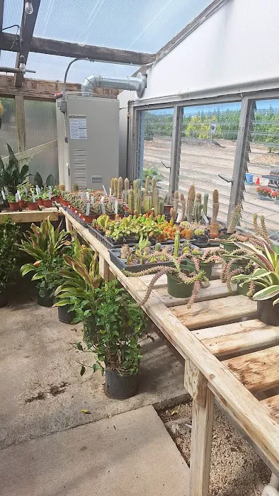 Corn Crib Nursery Picture 8