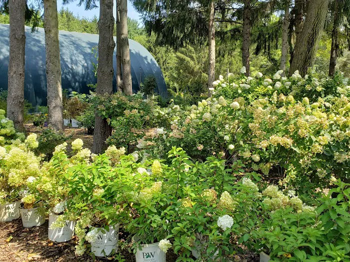 Landscape Designs Nursery Picture 5