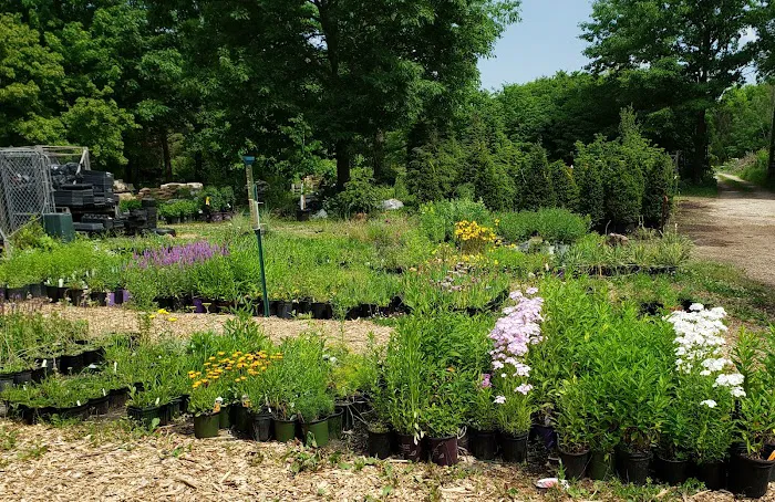 Landscape Designs Nursery Picture 7