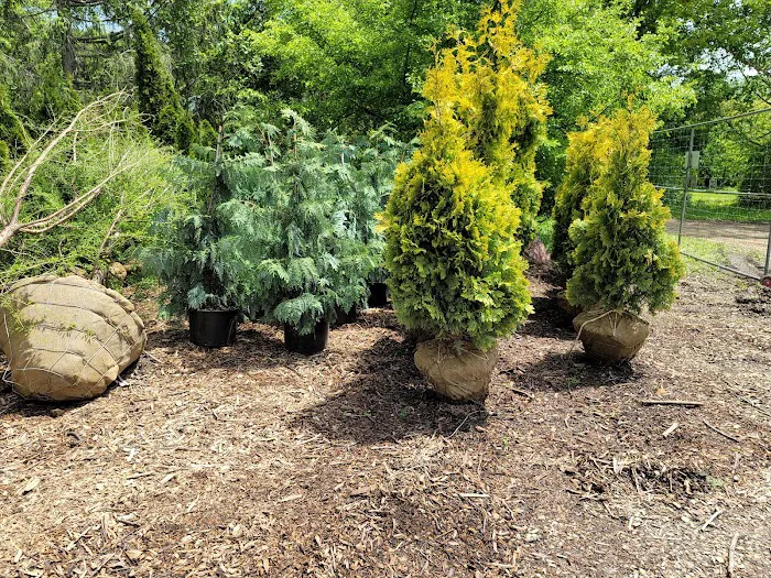 Landscape Designs Nursery Picture 4