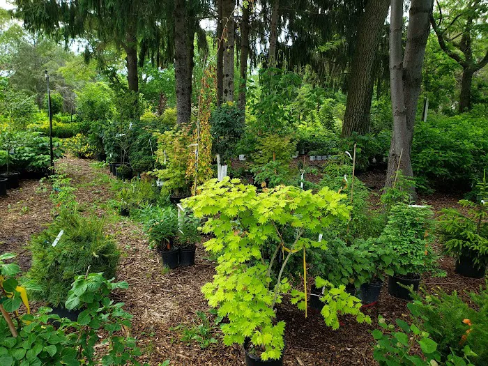 Landscape Designs Nursery Picture 3