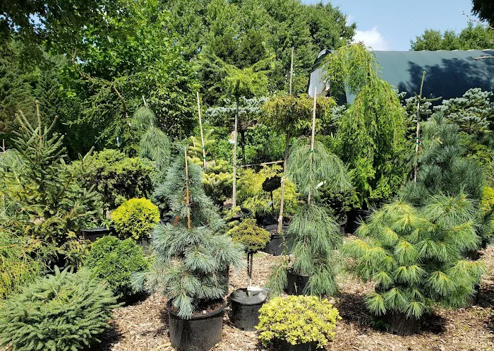 Landscape Designs Nursery Picture 8