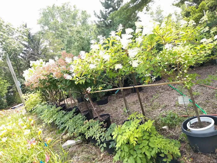 Landscape Designs Nursery Picture 1