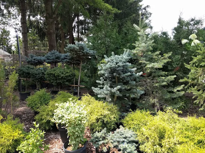 Landscape Designs Nursery Picture 2