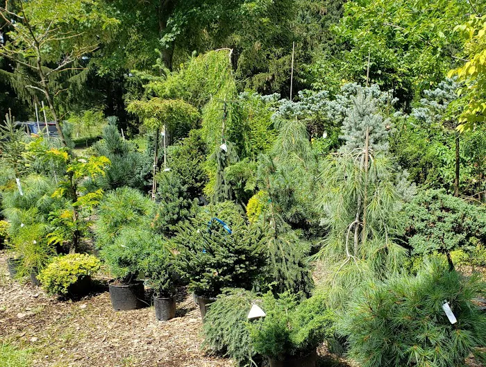Landscape Designs Nursery Picture 10