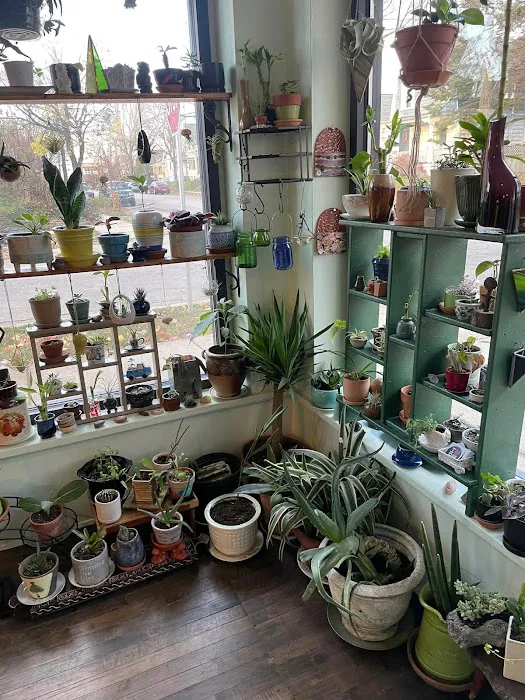 Riverwest Grown Picture 6