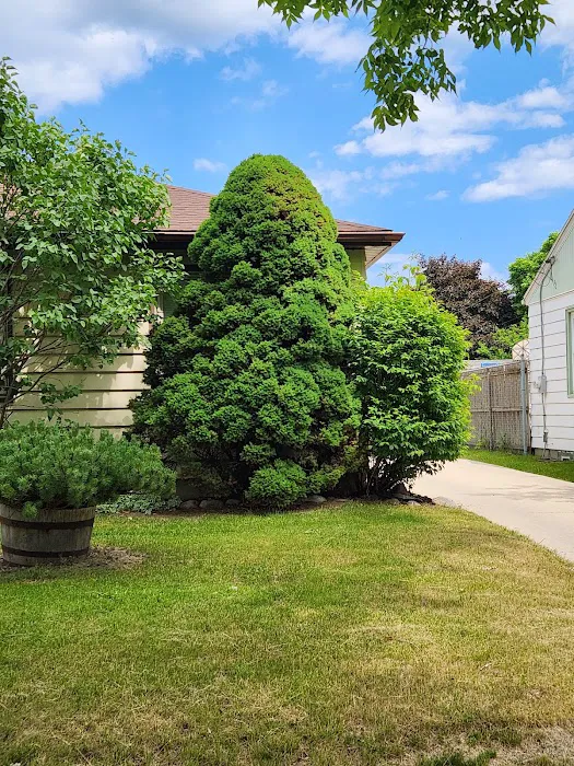Lewis Affordable Landscaping LLC Picture 10
