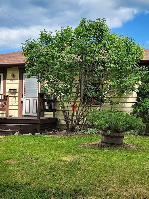 Lewis Affordable Landscaping LLC Picture 1
