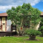 Lewis Affordable Landscaping LLC