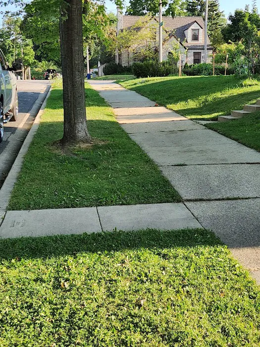 Lewis Affordable Landscaping LLC Picture 5