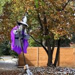 Nic Ehr Landscape Co Inc