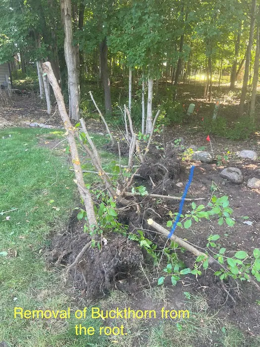 Matt's Landscape Picture 3