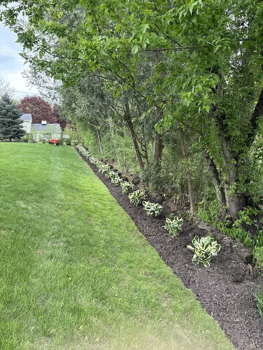 Matt's Landscape Picture 6